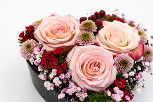 Rosa Herz