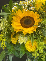 Lade das Bild in den Galerie-Viewer, Sonnenblume
